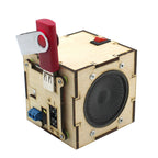 DIY Wooden Speaker Kit