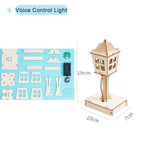 DIY Traffic Light Science Kit