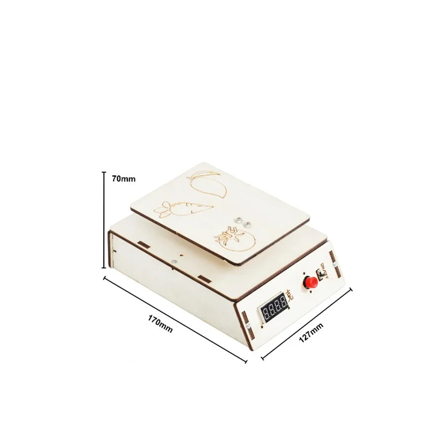 DIY Electronic Scale Model