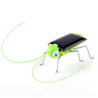 Solar Grasshopper Toy – DIY Educational STEM Puzzle