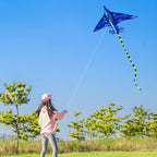 Plane Kites with Handle & Line