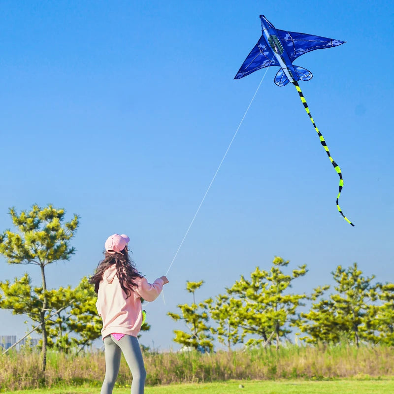 Plane Kites with Handle & Line