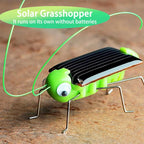 Solar Grasshopper Toy – DIY Educational STEM Puzzle