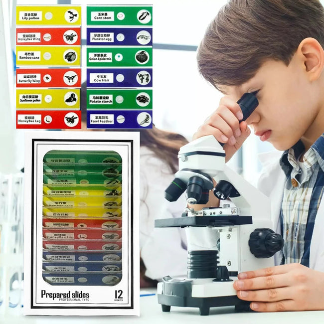 Educational Mini Handheld Microscope for Kids Hover Image