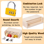 Montessori Lock & Key Learning Toy