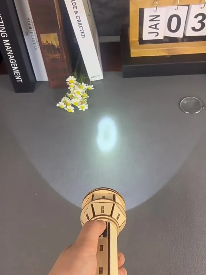 STEAM Wooden Puzzle Set