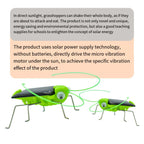 Solar Grasshopper Toy – DIY Educational STEM Puzzle