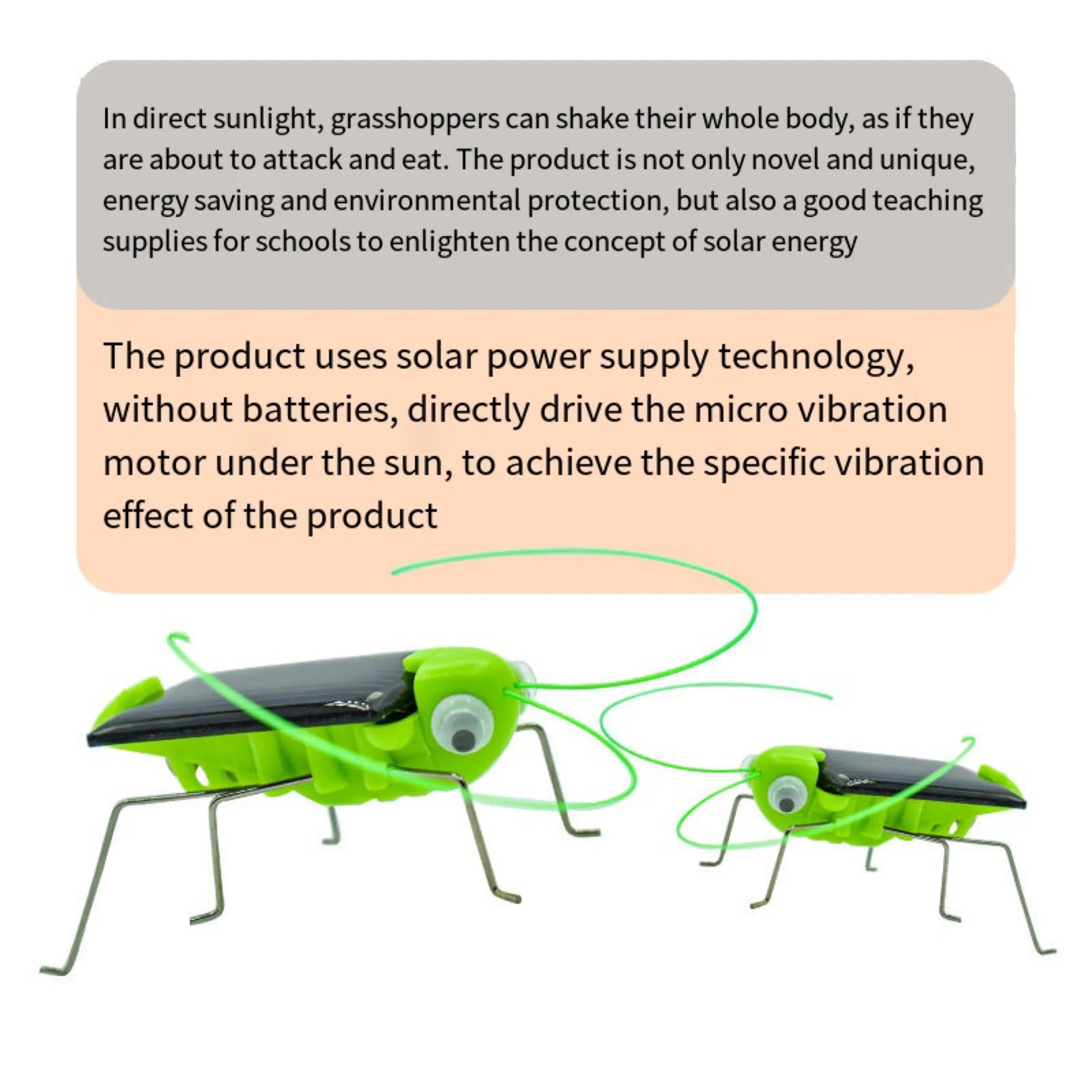 Solar Grasshopper Toy – DIY Educational STEM Puzzle