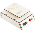 DIY Electronic Scale Model