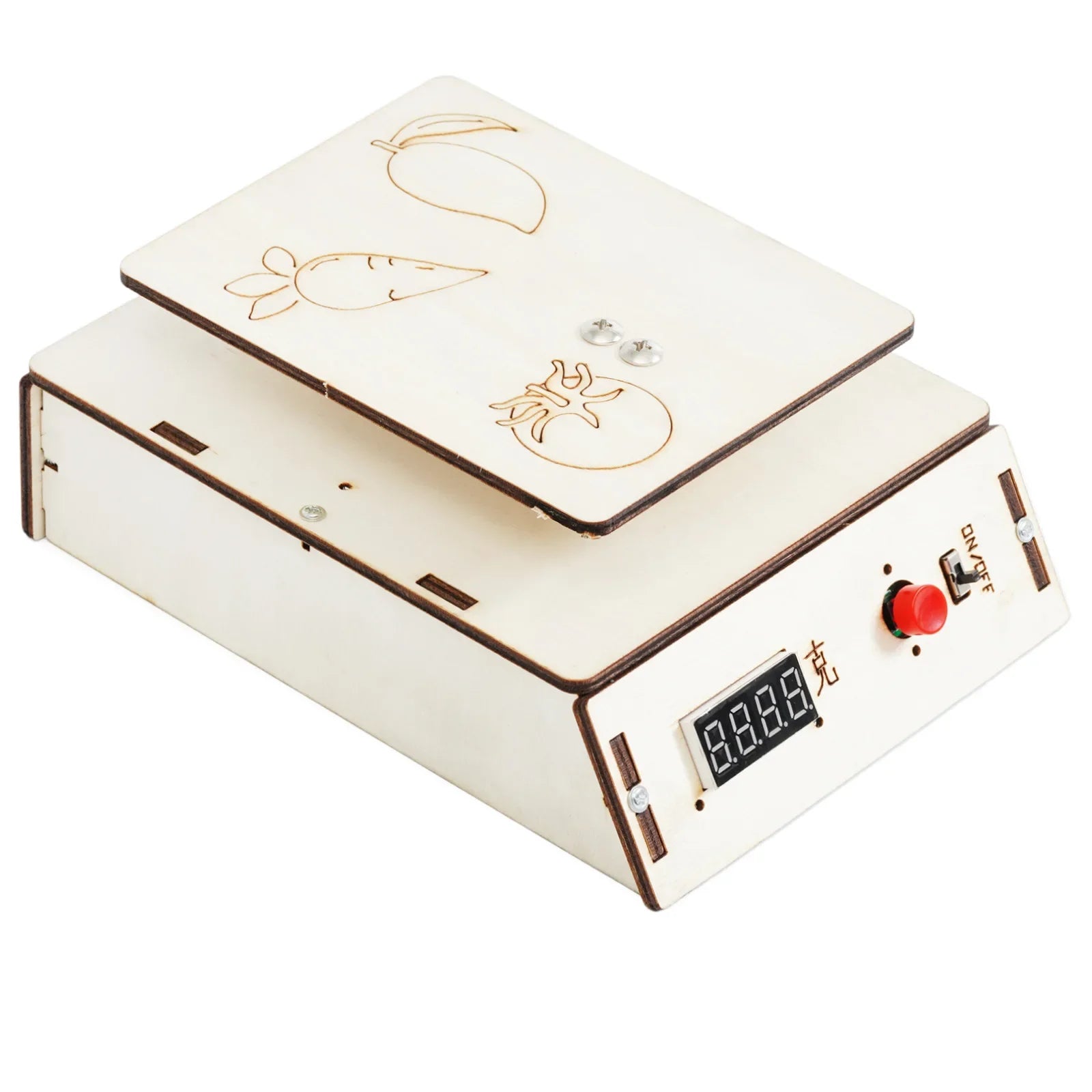 DIY Electronic Scale Model