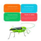 Solar Grasshopper Toy – DIY Educational STEM Puzzle