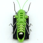 Solar Grasshopper Toy – DIY Educational STEM Puzzle